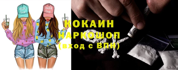 индика Абинск