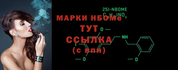 индика Абинск