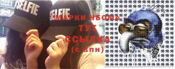индика Абинск