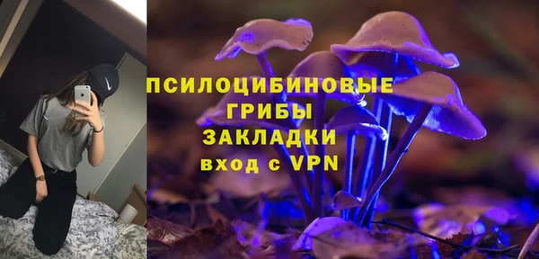 ПСИЛОЦИБИНОВЫЕ ГРИБЫ Алзамай