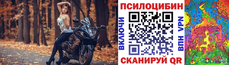 Псилоцибиновые грибы Psilocybe  даркнет сайт  KRAKEN как зайти  Волоколамск 